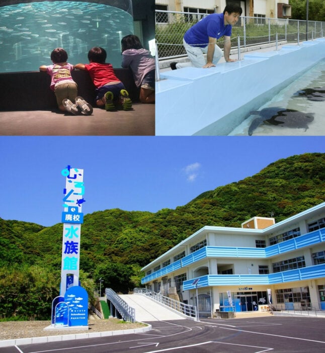 Muroto escuela acuario en Japón