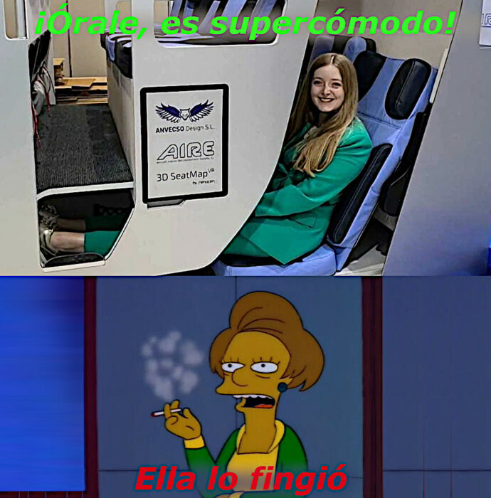 Meme señorita Krabbapel ella lo fingió asientos de dos pisos