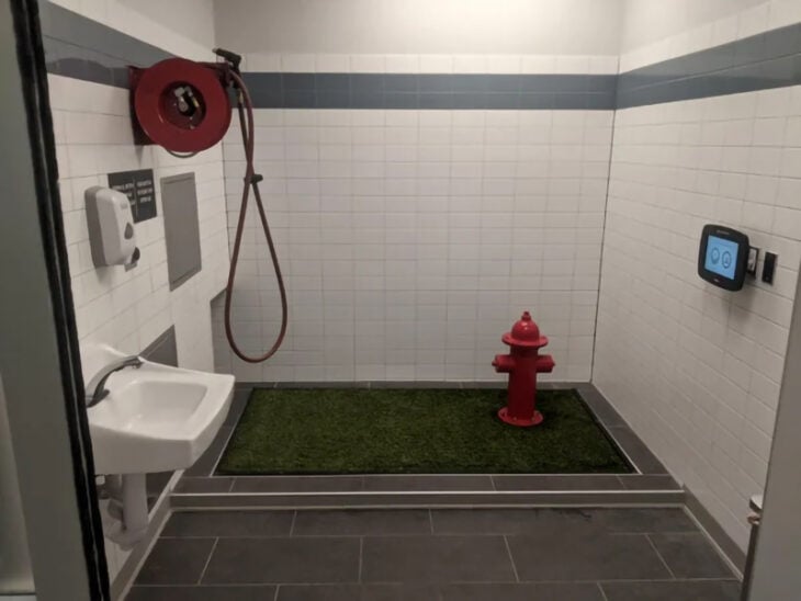 Baño para mascotas