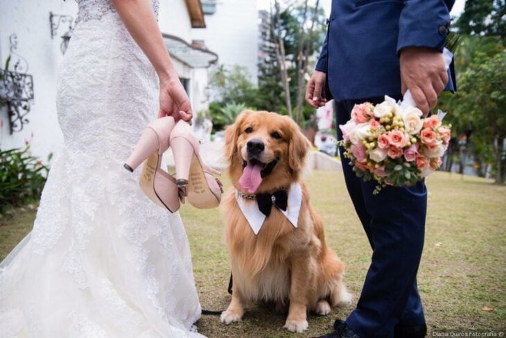 Boda Pet Friendly