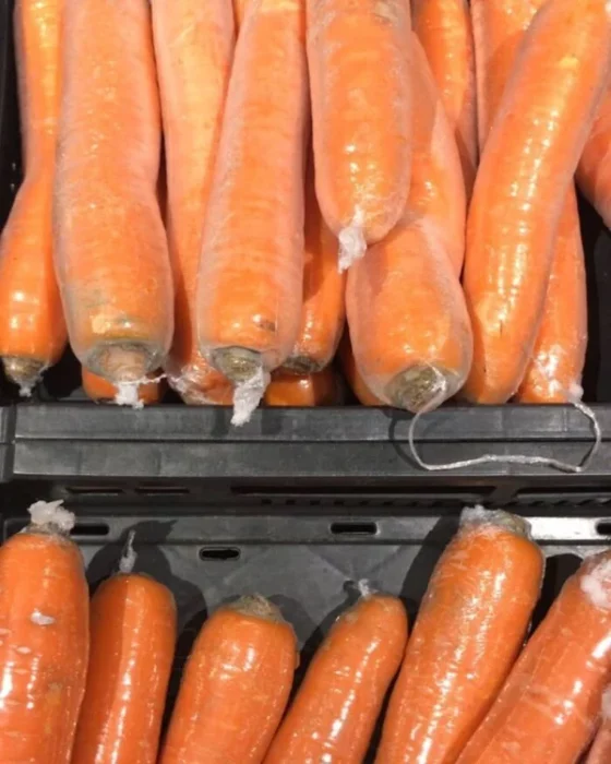 Zanahorias empaquetadas